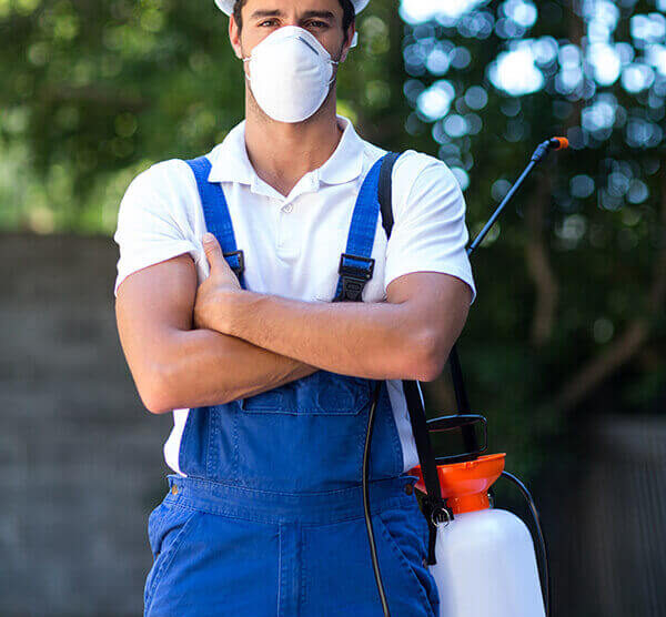 Pest Control Projects Grid View