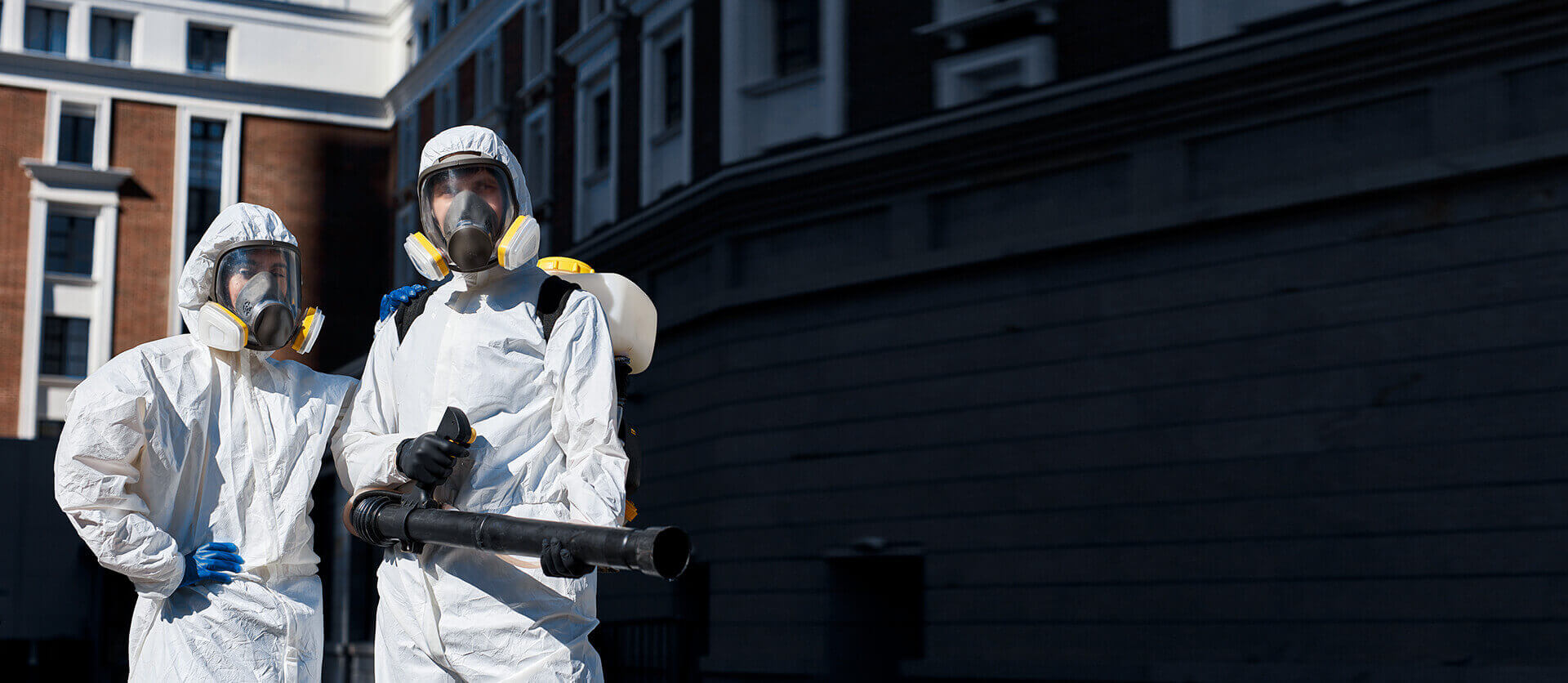 Pest Control Services Website Home Demo
